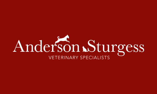 Anderson Sturgess: Logo Design (reversed out)
